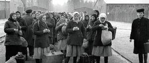 Sowjetische Frauen als zwangsverpflichtete „Ostarbeiterinnen“ im Durchgangslager Wilhelmshagen (Propagandabild, 1942)
