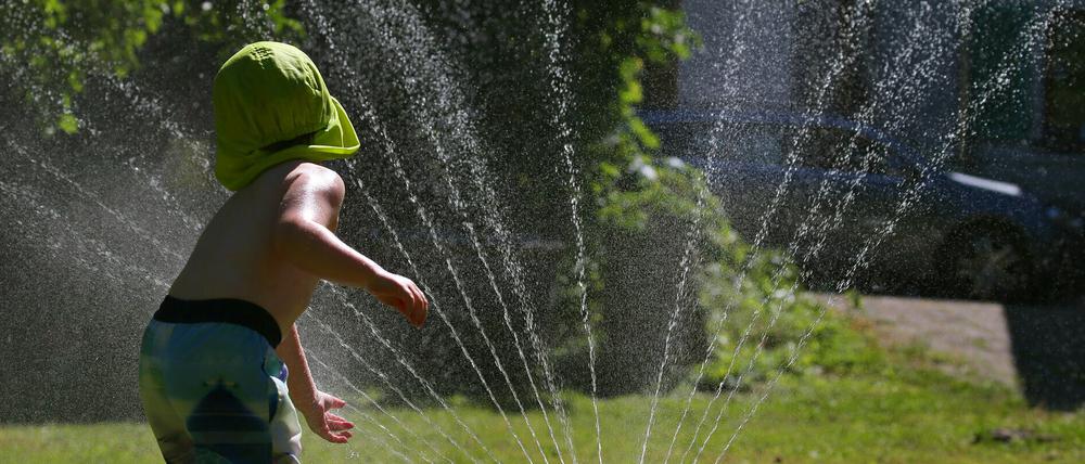 Heiße und dürre Sommer lassen den Wasserverbrauch in Brandenburg steigen. (Symbolbild)