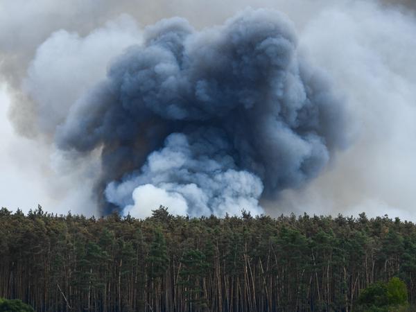 Der Brand in Falkenberg ist der größte bisher in diesem Jahr in Brandenburg.