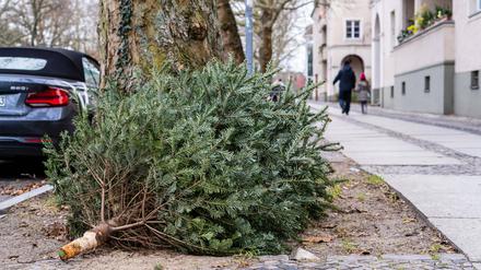 Ein Weihnachtsbaum liegt in Charlottenburg auf der Straße.