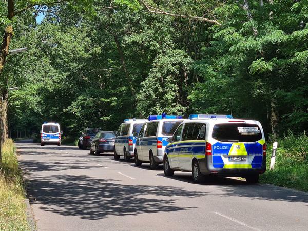 Tag der Festnahme: Polizeiautos stehen in einem Waldstück zwischen Babelsberg und Dreilinden.