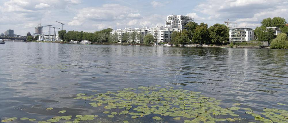 Die Spree in Berlin fließt im Sommer fast nicht. Verschmutztes Wasser bleibt also lange in der Stadt.