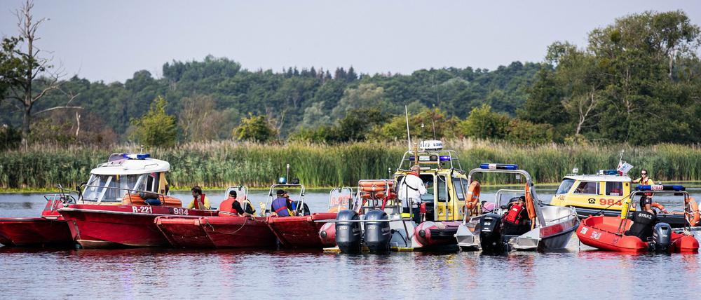 Feuerwehrleute arbeiten in Stettin an der Bergung toter Fische aus der Oder.