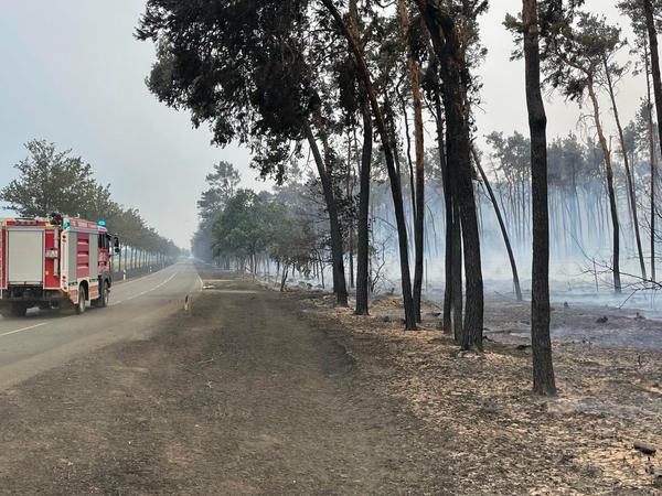 Ein Feuerwehrwagen fährt zwischen Kosilenzien und Nieska im Landkreis Elbe-Elster an einem abgebrannten Wald vorbei. 