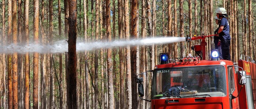 Mit Stand Montag sind rund 950 Hektar Brandfläche in Brandenburg registriert worden.
