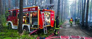 Schon im April 2019 brannten in Nassenheide gut zwei Hektar Wald. (Archivbild)