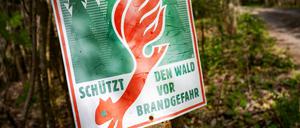 Vereinzelt auftretende Schauer und Gewitter sind laut dem Deutschen Wetterdienst nicht in der Lage, die Trockenheit und hohe Waldbrandgefahr in der Region zu lindern.