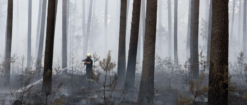 Feuerwehrmänner bekämpfen den Waldbrand rund um die Uhr.