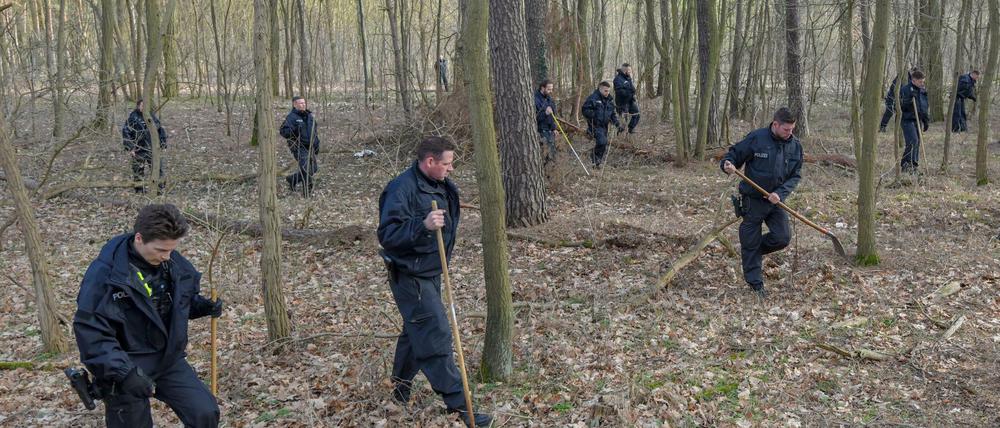 Eine Hundertschaft sucht im März 2019 in einem Waldstück bei Kummersdorf nach Rebecca Reusch.