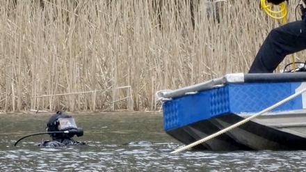 Ein Polizeitaucher schwimmt im Herzberger See im Landkreis Oder-Spree auf der Suche nach der vermissten Rebecca.
