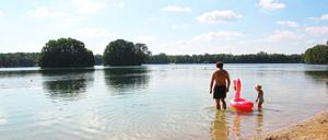 Badewiese in Groß Glienicke am Groß Glienicker See klares Wasser Badewetter Schwimmen Baden Sommer