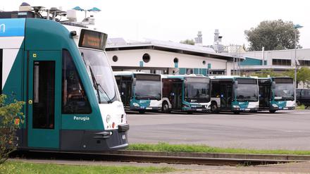 Potsdams Verkehrsbetrieb schafft neue Busse, Straßenbahn an und baut seinen Betriebshof um.