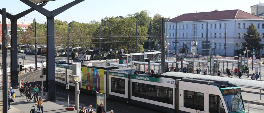 Eine Straßenbahn und Busse am Hauptbahnhof in Potsdam. (Symbolbild)