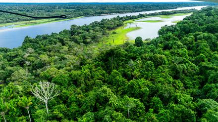 Ein Fluss im Amazonas-Regenwald bei Manau.