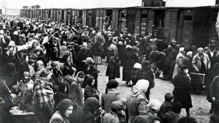 Ankunft von ungarischen Juden in Auschwitz-Birkenau. In dem NS-Vernichtungslager wurden 1,1 bis 1,5 Millionen Menschen ermordet. 