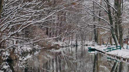 Im Winter zeigt der Spreewald oft seine mystische Seite. 