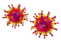 Eine undatierte elektronenmikroskopische Aufnahme des «U.S. National Institute of Health» zeigt das Coronavirus (SARS-CoV-2) (orange). Foto: -/NIAID-RML/AP/dpa