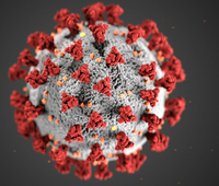 Diese Illustration, die in den Centers for Disease Control and Prevention (CDC) erstellt wurde, zeigt die ultrastrukturelle Morphologie, die Coronaviren aufweisen.  Foto: Alissa Eckert;Dan Higgins/CDC/dpa