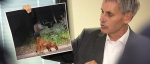 Bürgermeister Grubert verteidigt am Freitag auf seiner Pressekonferenz die großangelegte Suche nach der mutmaßlichen Löwin.