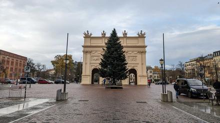 Auf dem Potsdamer Luisenplatz wurde am Dienstag ein Weihnachtsbaum aufgestellt.