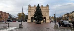 Auf dem Potsdamer Luisenplatz wurde am Dienstag ein Weihnachtsbaum aufgestellt.