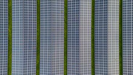 Potsdams kommunaler Energieversorger EWP plant einen Solarpark in Groß Kreutz. Ab 2025 soll der erste regionale Naturstrom ins Netz eingespeist werden.