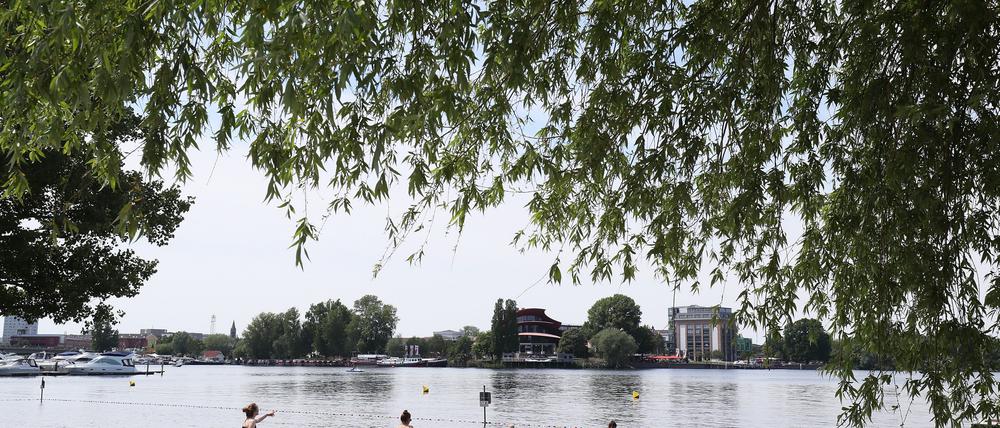 Besser vorerst draußen bleiben: Im Bereich des Stadtbads Babelsberg herrscht derzeit ein starkes Algenwachstum in der Havel. 