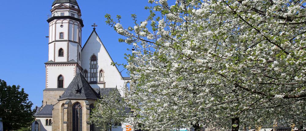 Die Thomaskirche im Frühling