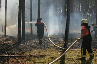 In Brandenburg brennen derzeit wieder Wälder, wie hier bei Wolfslake.  Foto: Christian Pörschmann/dpa