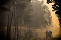 In vergangenen Woche musste die Feuerwehr zu einem Waldbrand in Briesen (Oder-Spree) ausrücken.  Foto: ZB