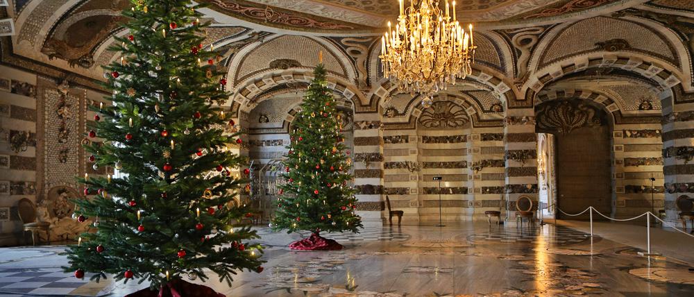 Weihnachtsbäume im Grottensaal im Neuen Palais in Potsdam.