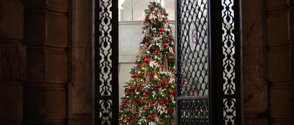 Weihnachtsbaum im Foyer des Potsdamer Stadthauses.