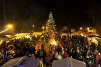 Der Weihnachtsmarkt in Beelitz. Foto: Stadt Beelitz