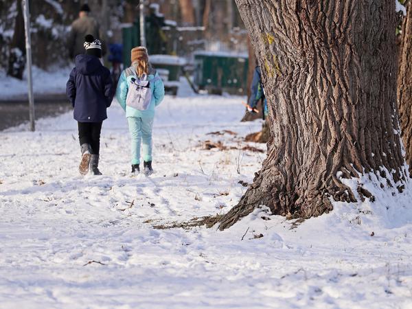 Ein Spaziergang durch den Schnee sollte auch an diesem Wochenende in Potsdam möglich sein.