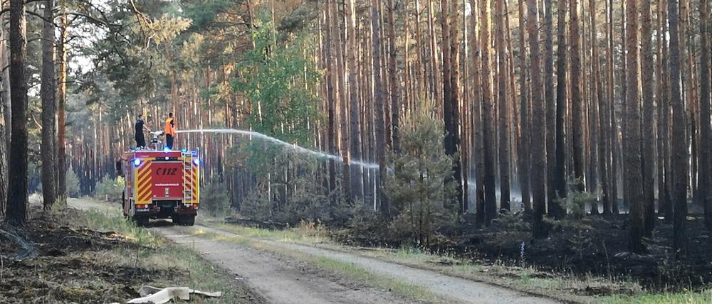 Feuerwehrleute stehen auf einem Einsatzfahrzeug der Feuerwehr und spritzen Wasser auf Glutnester im Wald bei Jüterbog. 