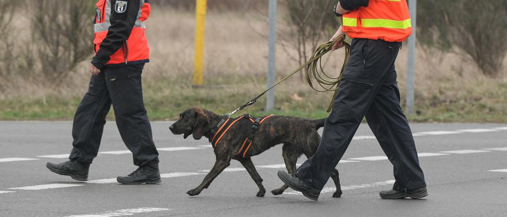 Bereits am 21. März suchten Ermittler mit einem Polizeihund an der Autobahn 12 in Fürstenwalde nach Rebecca.