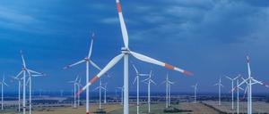 Der Bau von Windkraftanlagen in Brandenburg beschäftigt auch die Gerichte.