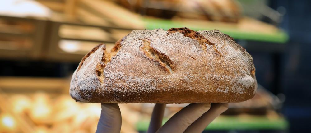 Auch die Preise für frisches Brot sind zuletzt in vielen Bäckereien gestiegen.