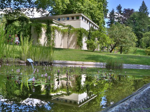 Im Botanischen Garten Potsdam wird die Natur auch mit zusätzlichem Wasser gepflegt.