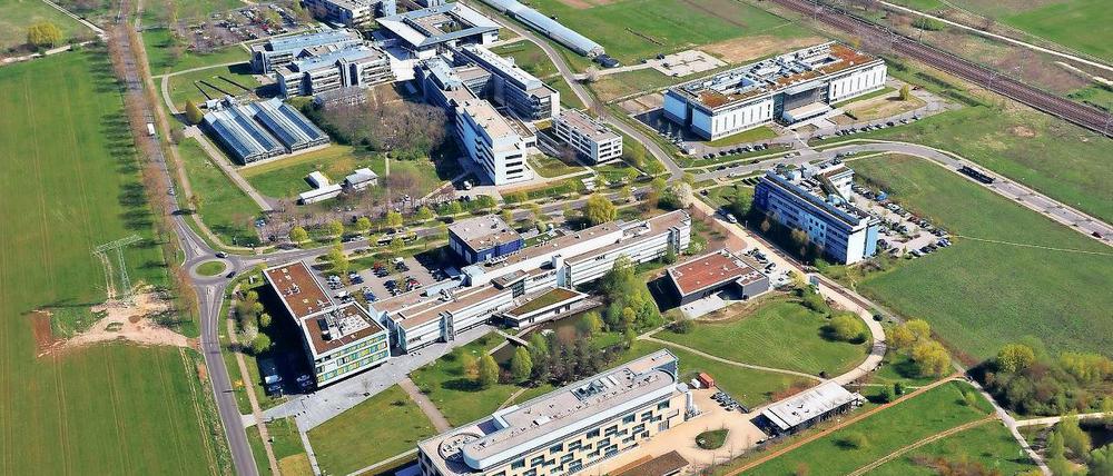 Platz für Neues. Links und rechts der Straße Am Mühlenberg durch den Wissenschaftspark Golm ist noch Platz. In den kommenden Jahren sollen neue Gewerbe- und Laborgebäude entstehen – auch direkt am Bahndamm.