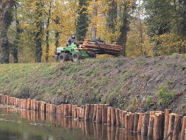 Neue Holzpfähle für die Uferbefestigung sind auf dem Weg.