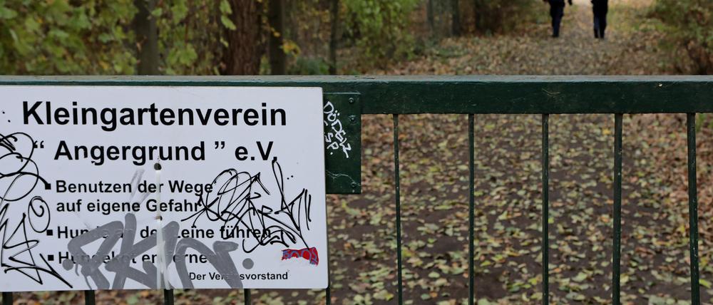 Potsdams Stadtverordnete wollen den Kleingartenverein Angergrund sichern - der Investor droht mit Klage.