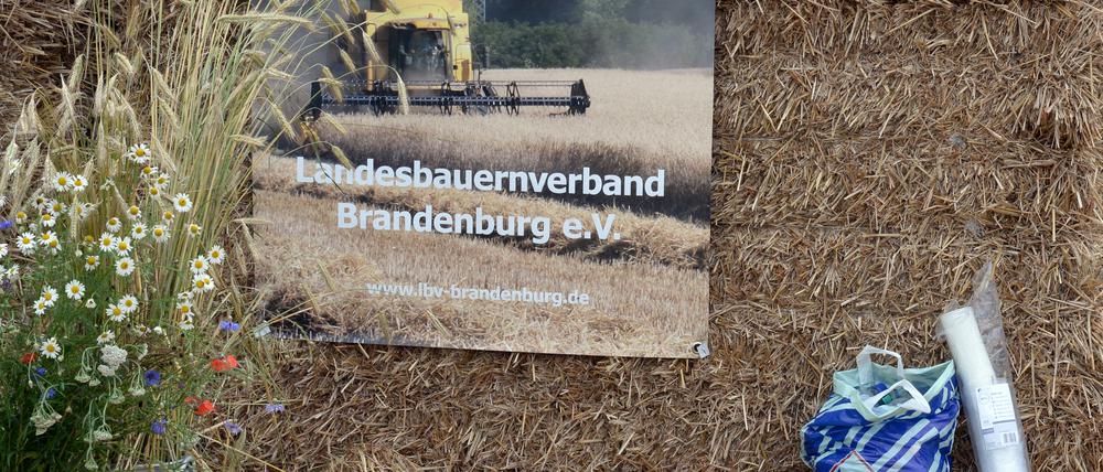 Der Werbespot "Wir machen Tierwohl" des Landesbauernverbands Brandenburg darf nicht mehr über die Bildschirme der Potsdamer Trams flimmern.