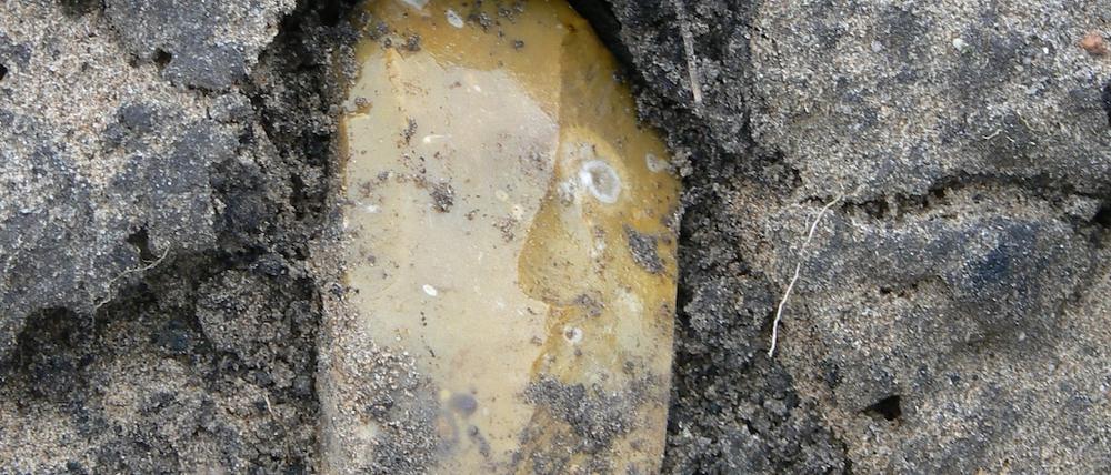 Auch in Teltow-Fläming war vor drei Jahren ein 5000 Jahre altes Steinbeil gefunden worden. 