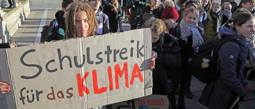Etwa 300 Schüler demonstrierten im Januar auf dem Potsdamer Steubenplatz für den Schutz der Umwelt.