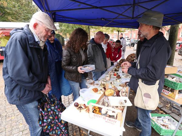 Dienstags, donnerstags und samstags von 9 bis 12 Uhr berät Bivour Pilzsammler auf dem Bassinplatz.