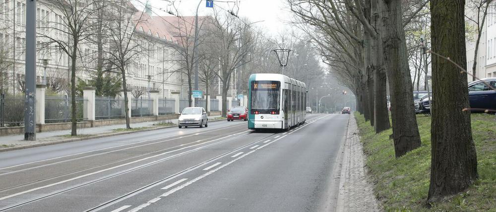 Die Tramgleise auf der Heinrich-Mann-Allee sollen erneuert und teils verlegt werden.