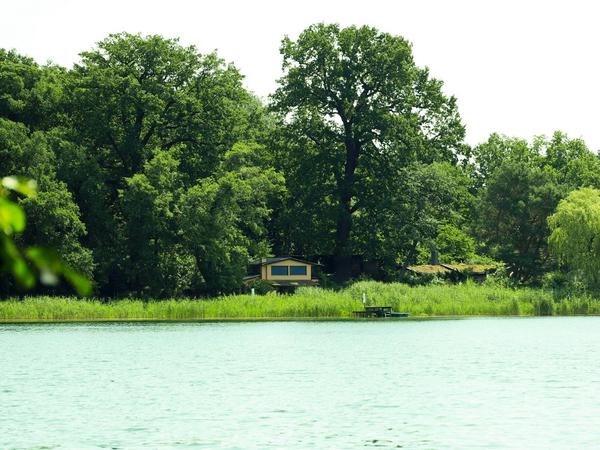 Der Pegel des Sacrower Sees sinkt jedes Jahr.