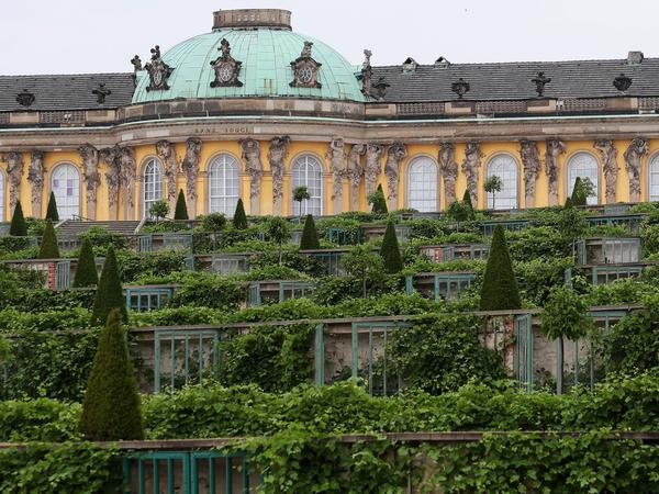 Auch das Schloss Sanssouci gehört zu den beliebten Fotomotiven.