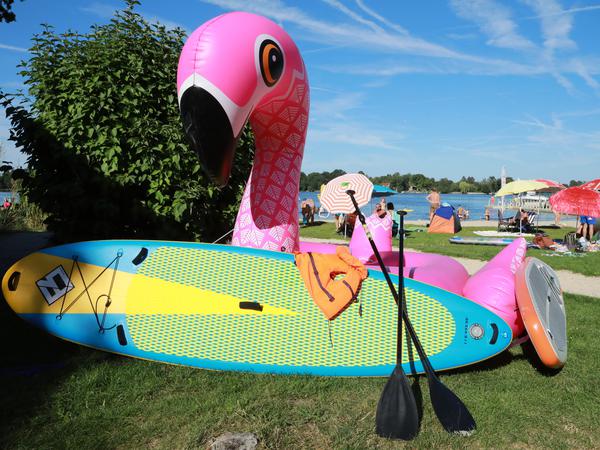 Der pinke Flamingo _ Maskottchen des Strandbads Glindow - darf noch nicht ins Wasser. Das Bad ist noch geschlossen.
